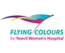 Flying colours logo