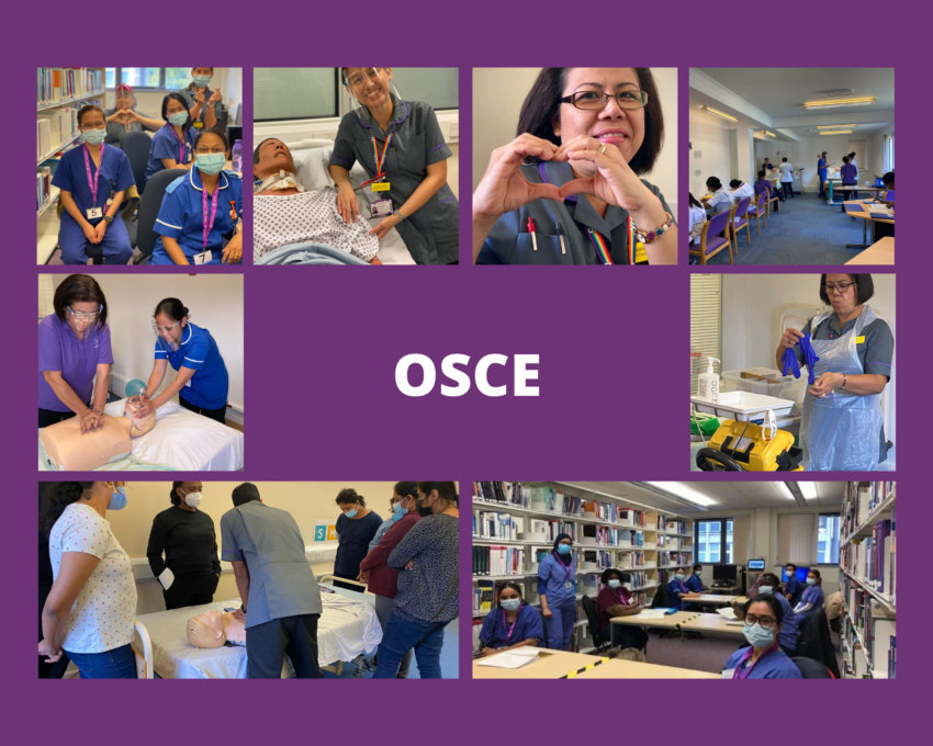 OSCE photo collage